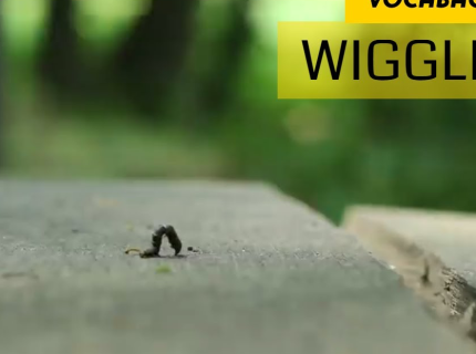 wiggly