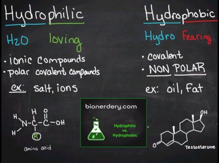 hydrophobic