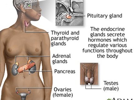 hyperthyroidism