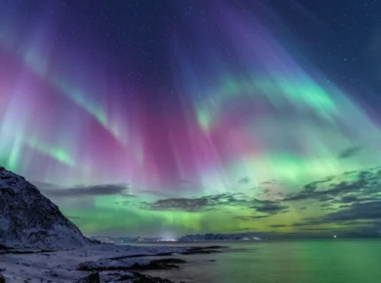 auroral
