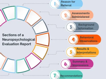 neuropsychology