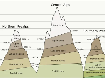 altitudinal