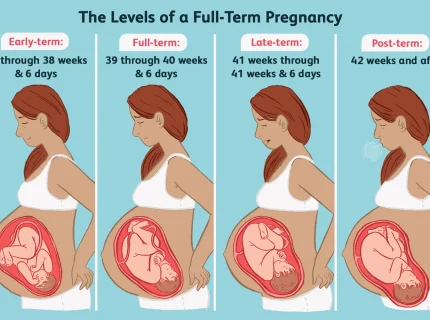 pregnancy