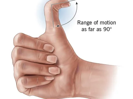 thumb