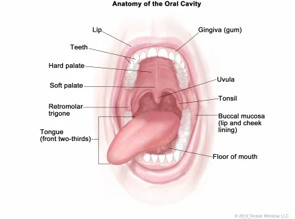 oral