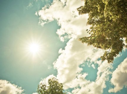 sunlight