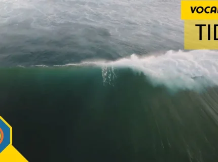 tide