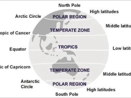tropical