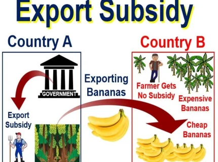 subsidy