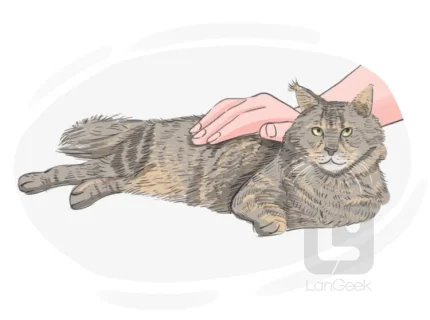 fondling