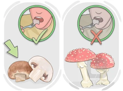edibility