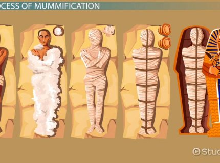 mummify