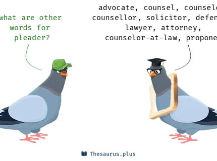 pleader