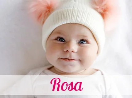 Rosa
