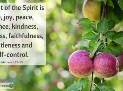 fruitfulness