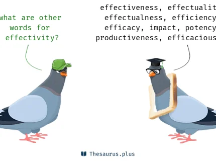 effectivity