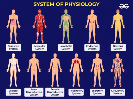 physiologically