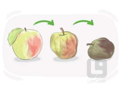 decomposable