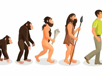 bipedalism