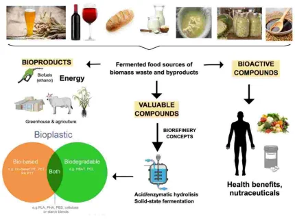 fermentable