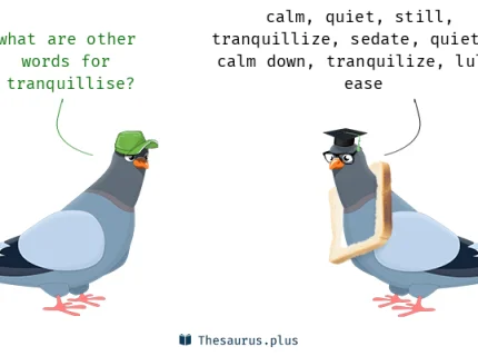tranquillise