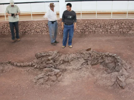 paleontological