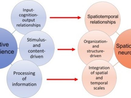 spatiotemporal