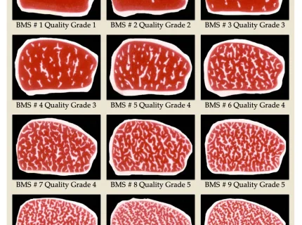 marbled