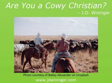 cowy