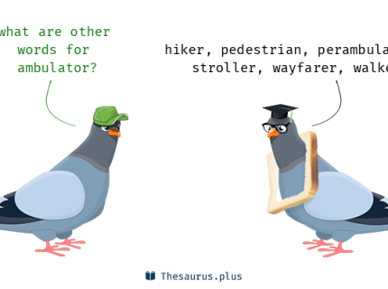 ambulator