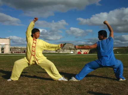 Kongfu
