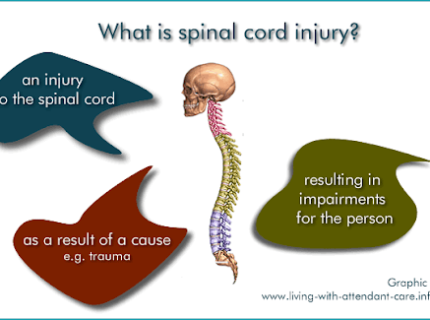spinally