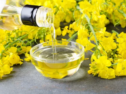 canola flower