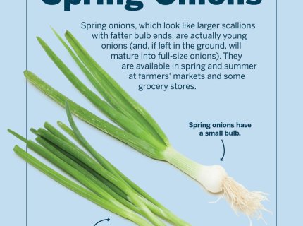 spring onion