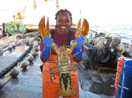 lobsters
