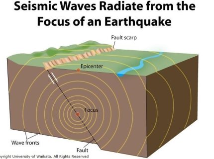 seismal