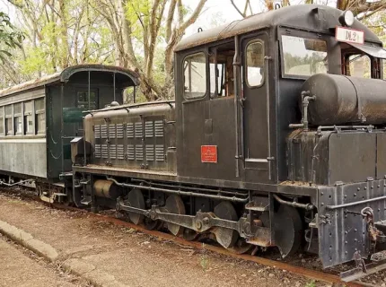 shunter