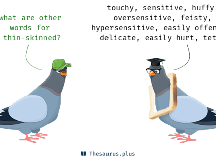 thin-skinned