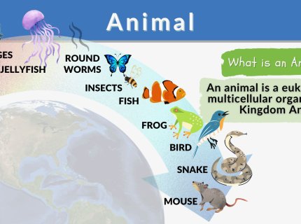 animallike