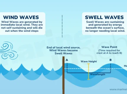 swell