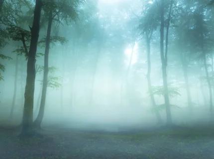 fog