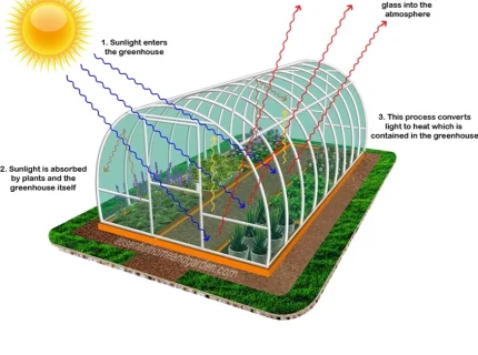 greenhouse