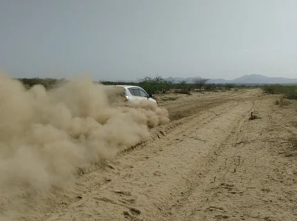 dusty