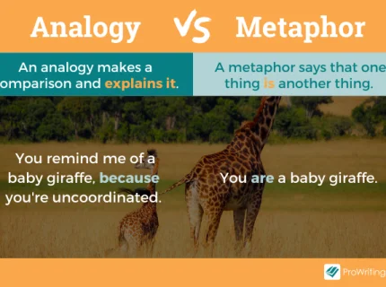 analogy