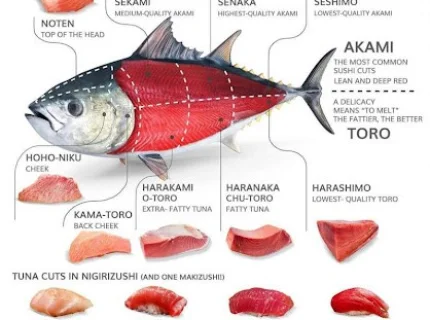 tuna