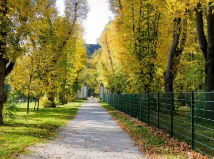 avenue