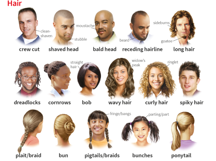 bald