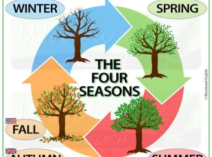seasonal