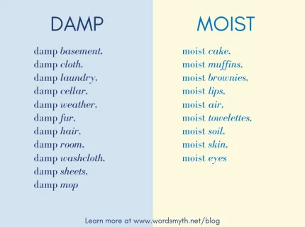 moist
