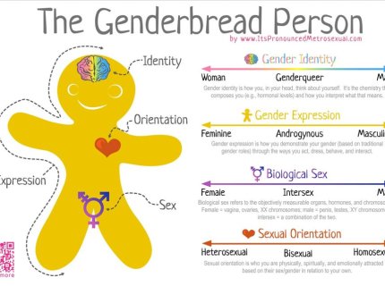 homosexuality